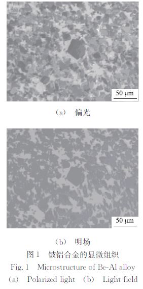 鈸鋁合金的顯微組織 鈸鋁合金的顯微組織