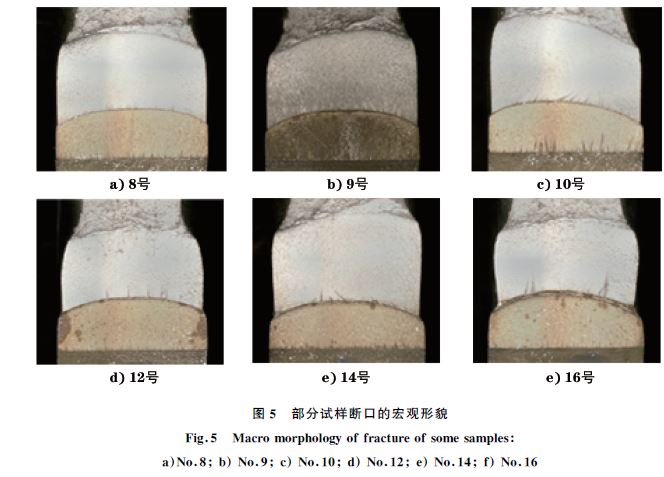 圖5 部分試樣斷口的宏觀形貌 圖5 部分試樣斷口的宏觀形貌