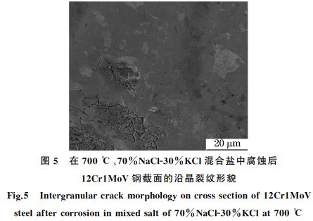 12Cr1MoV鋼截面的沿晶裂紋形貌 12Cr1MoV鋼截面的沿晶裂紋形貌
