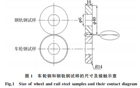 圖1 車輪鋼和鋼軌鋼試樣的尺寸及接觸示意 圖1 車輪鋼和鋼軌鋼試樣的尺寸及接觸示意