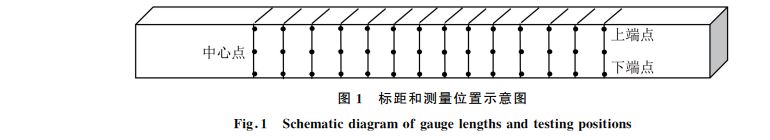 圖1 標(biāo)距和測(cè)量位置示意圖 圖1 標(biāo)距和測(cè)量位置示意圖
