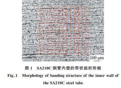 圖1 SA210C鋼管內(nèi)壁的帶狀組織形貌 圖1 SA210C鋼管內(nèi)壁的帶狀組織形貌