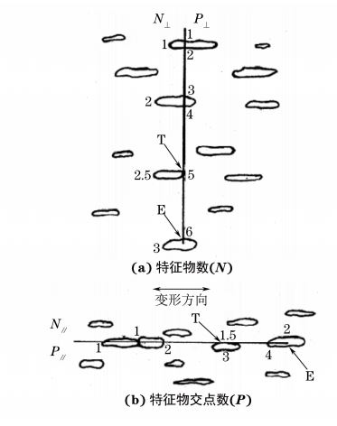 圖2 顯微組織的特征物數(shù)(N)和特征物交點數(shù)(P)計算示意圖 圖2 顯微組織的特征物數(shù)(N)和特征物交點數(shù)(P)計算示意圖