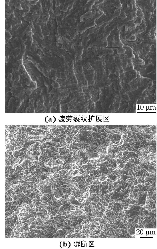 300M 鋼試樣疲勞斷口不同區(qū)域的SEM 形貌 300M 鋼試樣疲勞斷口不同區(qū)域的SEM 形貌