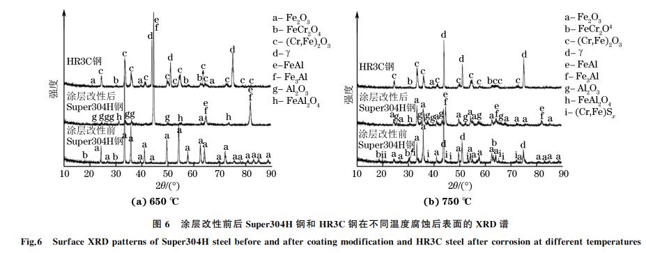 圖6 涂層改性前后Super304H 鋼和 HR3C鋼在不同溫度腐蝕后表面的 XRD譜 圖6 涂層改性前后Super304H 鋼和 HR3C鋼在不同溫度腐蝕后表面的 XRD譜