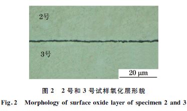 圖2 2號和3號試樣氧化層形貌 圖2 2號和3號試樣氧化層形貌