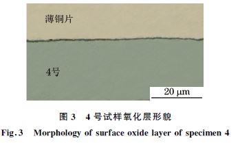 圖3 4號試樣氧化層形貌 圖3 4號試樣氧化層形貌