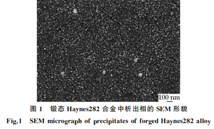 圖1 鍛態 Haynes282合金中析出相的SEM 形貌 圖1 鍛態 Haynes282合金中析出相的SEM 形貌