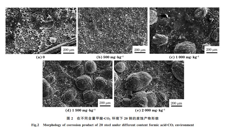 圖2 在不同含量甲酸GCO2 環境下20鋼的腐蝕產物形貌 圖2 在不同含量甲酸GCO2 環境下20鋼的腐蝕產物形貌