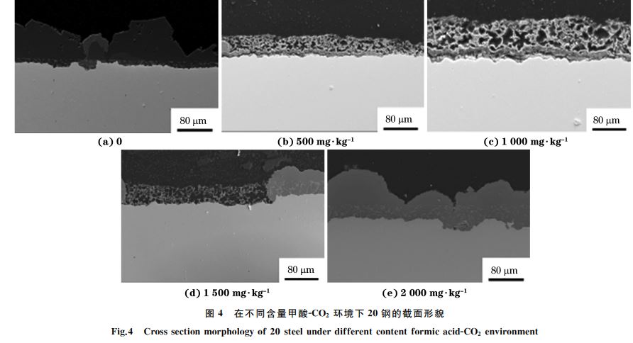 圖4 在不同含量甲酸GCO2 環境下20鋼的截面形貌 圖4 在不同含量甲酸GCO2 環境下20鋼的截面形貌