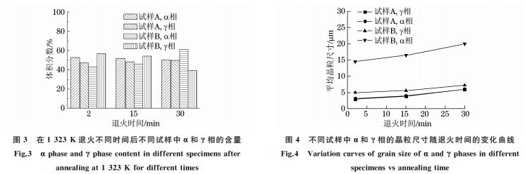 圖3 在1323K 退火不同時間后不同試樣中α和γ相的含量 圖3 在1323K 退火不同時間后不同試樣中α和γ相的含量