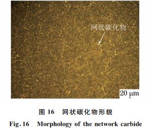 圖16 網狀碳化物形貌 圖16 網狀碳化物形貌