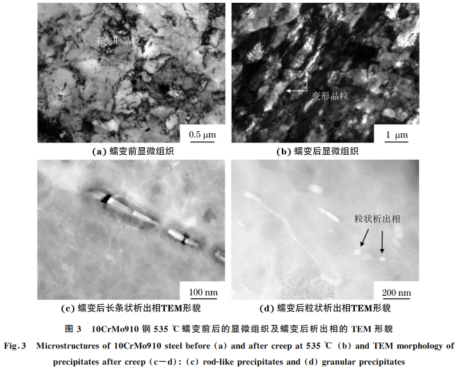 電站中超期服役10CrMo910鋼的高溫蠕變行為圖3 電站中超期服役10CrMo910鋼的高溫蠕變行為圖3