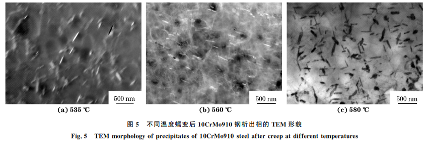 電站中超期服役10CrMo910鋼的高溫蠕變行為圖5 電站中超期服役10CrMo910鋼的高溫蠕變行為圖5