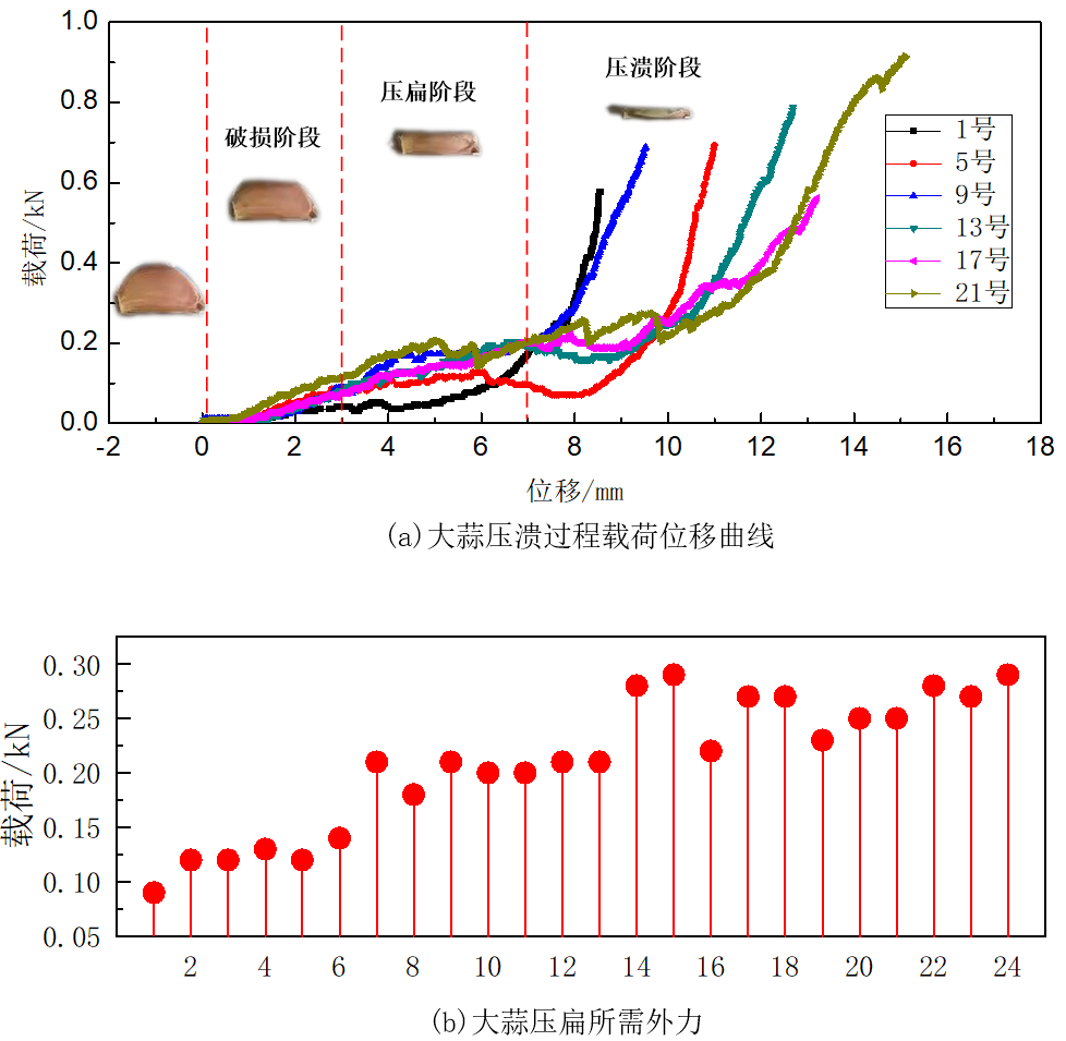 圖4大蒜破壞實驗結果 圖4大蒜破壞實驗結果